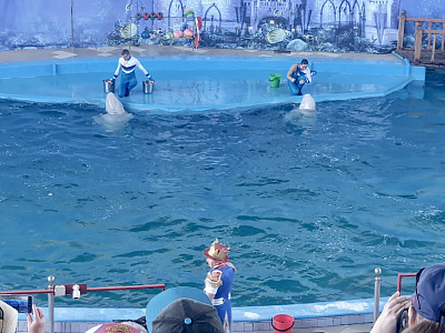 Участники XXIV Всероссийского фестиваля фольклорных коллективов «Кубанский казачок» посетили дельфинарий 