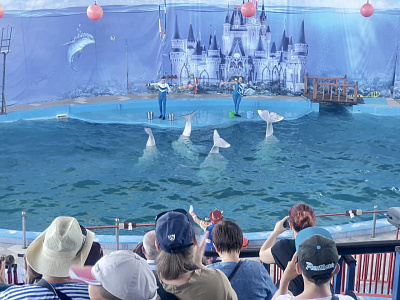 Участники XXIV Всероссийского фестиваля фольклорных коллективов «Кубанский казачок» посетили дельфинарий 